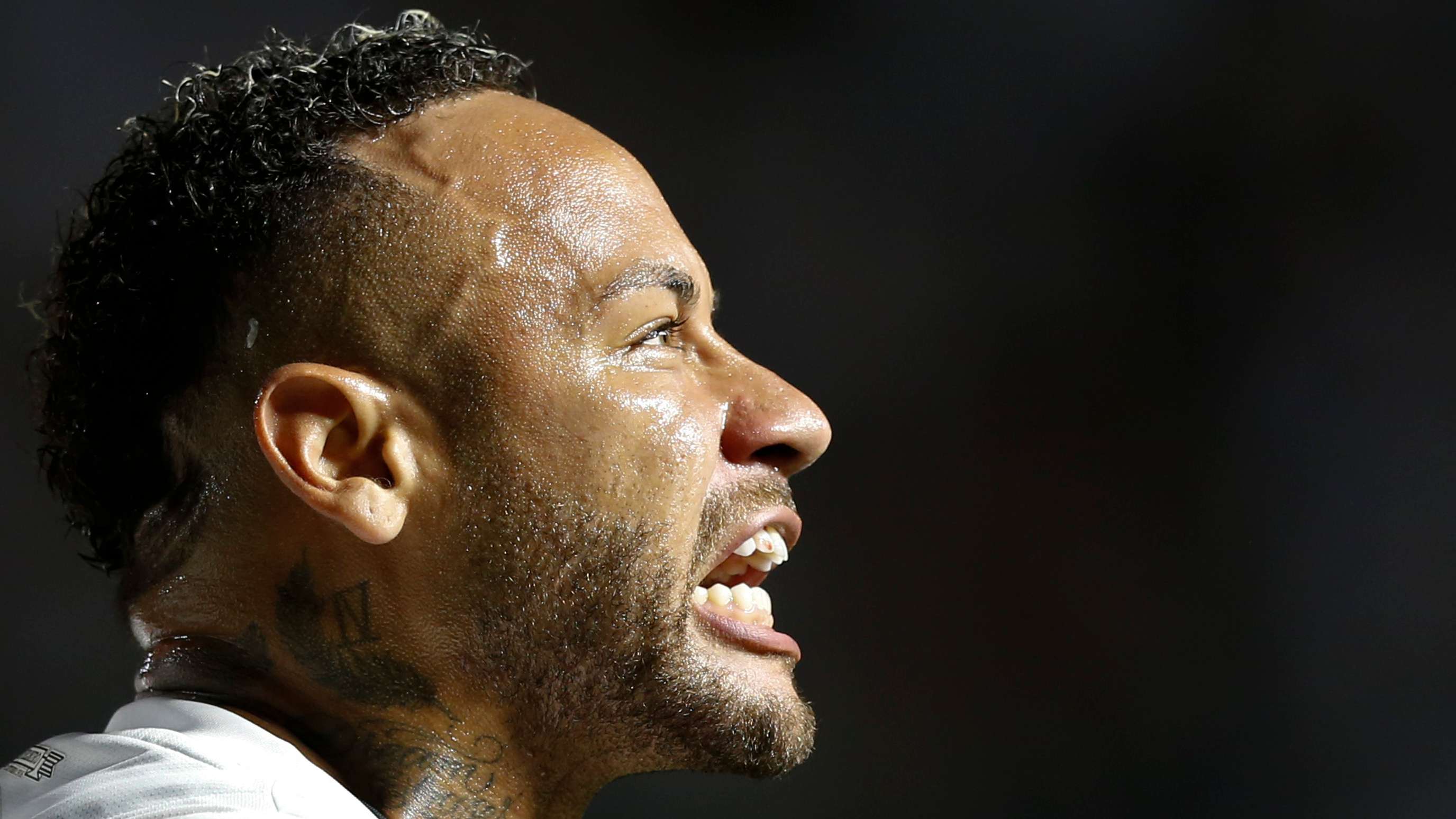 层的体育精 层的体育精